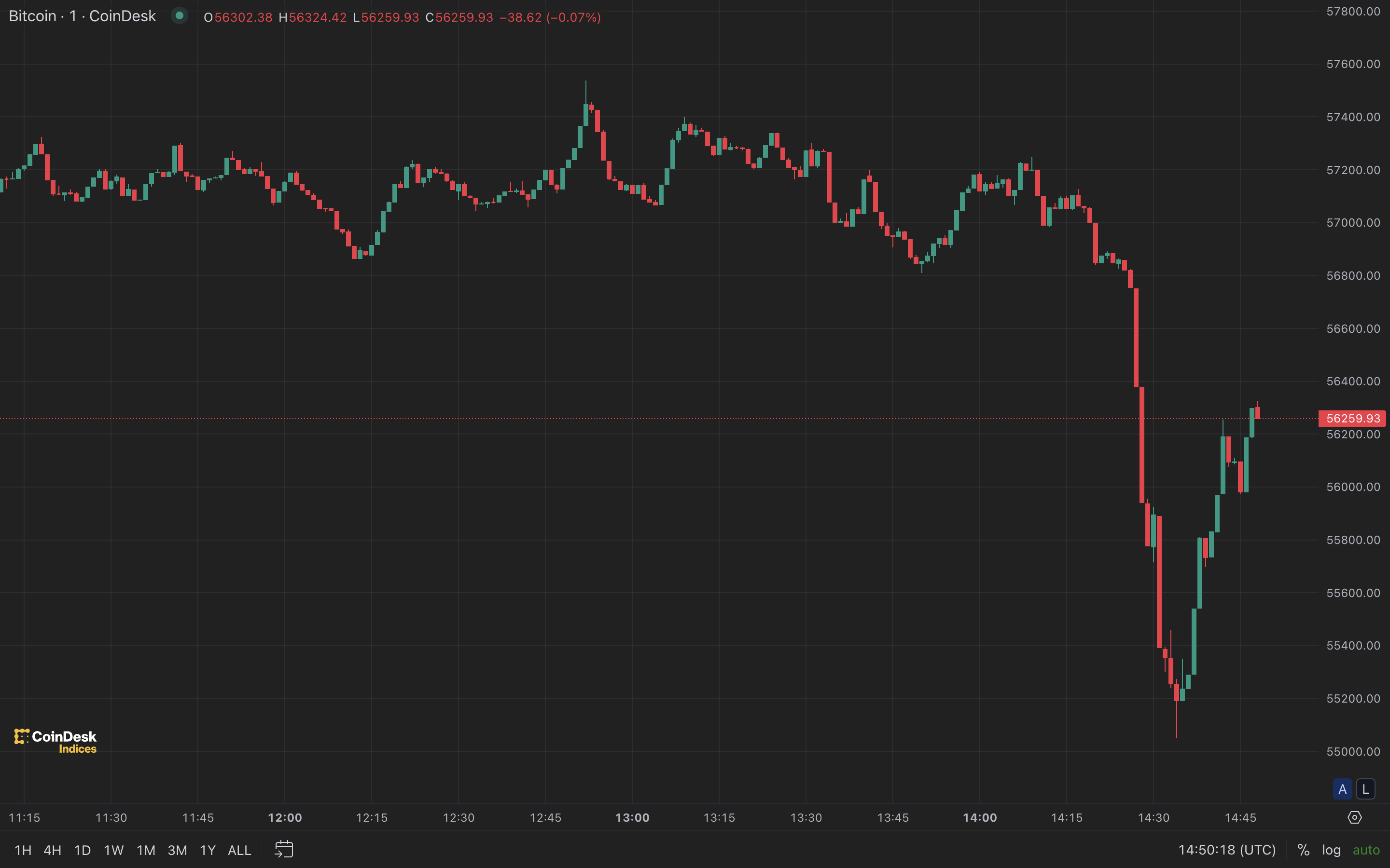Bitcoin Drops as German Government Moves Another $500M of Assets - XBO.com