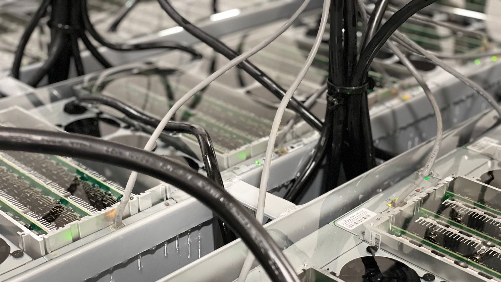 Buy Bitcoin Miners Ahead of the Halving, Bernstein Says - XBO.com