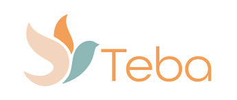 Teba AG logo