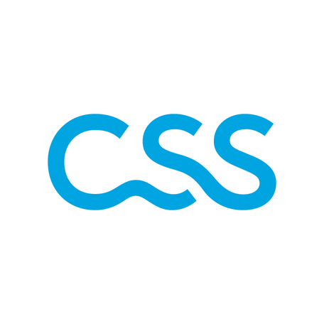 CSS logo