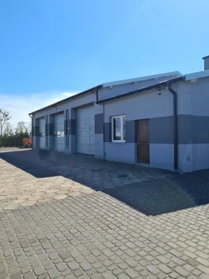 zdjęcie przedstawiające AUTO-REMO