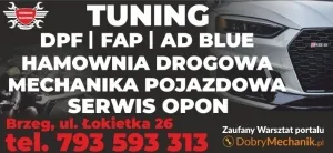 zdjęcie przedstawiające AUTO-EXPERT - mechanik elektryk samochodowy