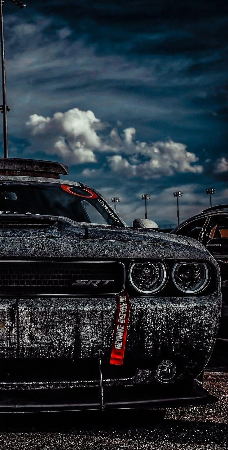 zdjęcie przedstawiające AL-CAR