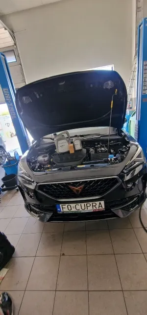 zdjęcie przedstawiające ZIELLONY MOTOR SPORT GARAGE