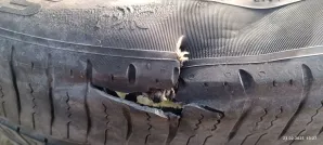 zdjęcie przedstawiające For Control Serwis Mobilny