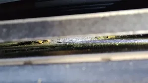 zdjęcie przedstawiające Auto-Maniak