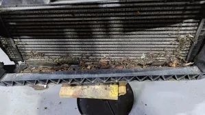 zdjęcie przedstawiające Auto-Maniak