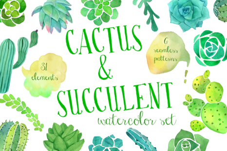 Watercolor cactus and succulent set