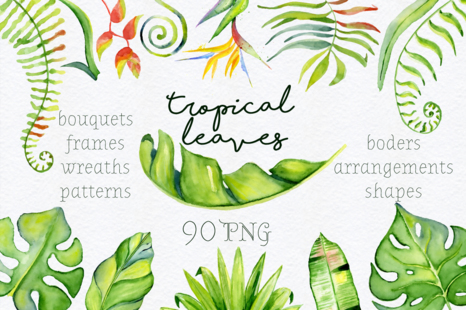 Tropical leaves watercolor clipart
