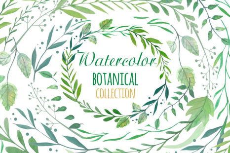 Watercolor botanical collection