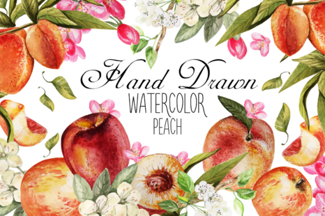 Hand Drawn Watercolor PEACH