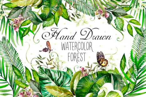 Hand Drawn watercolor Forest
