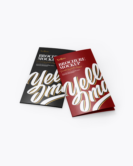 2xDL Brochures