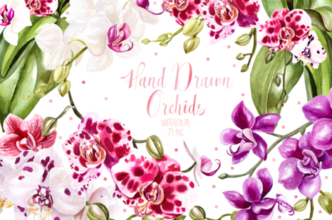 Hand Drawn Watercolor Orchids