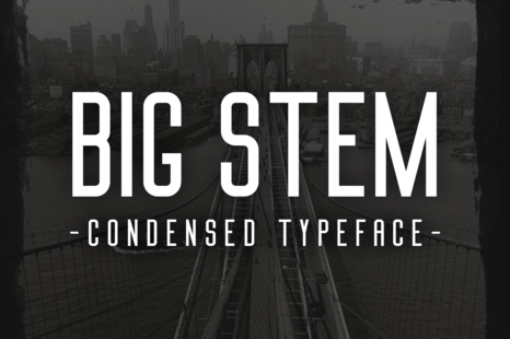 Big Stem Typeface