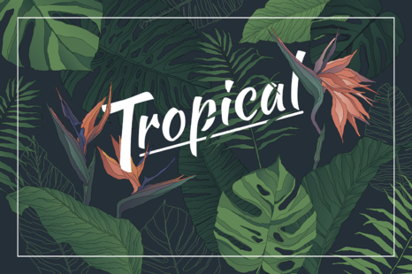 Tropical Set: Patterns & Elements