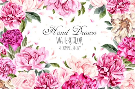 Hand Drawn Watercolor Blooming Peony