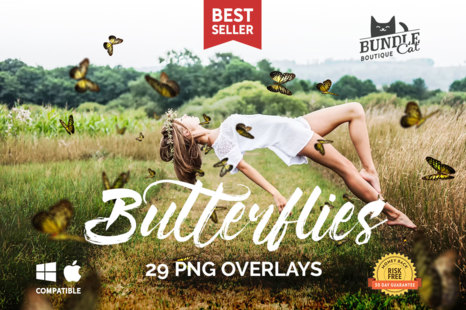 Download 29 Butterflies Photo Overlays In Actions Presets On Yellow Images Creative Store
