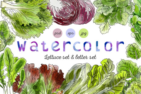 Lettuce watercolor letter set