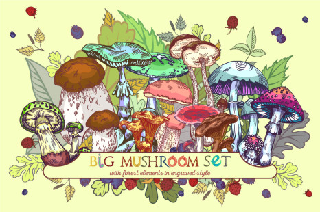 Big mushroom set