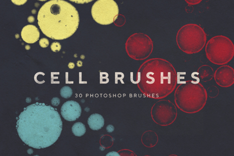 Cell Brushes