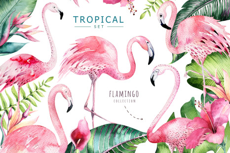 Tropical set II. Flamingo collection