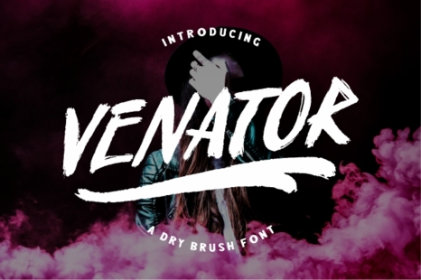 Venator Brush Fonts