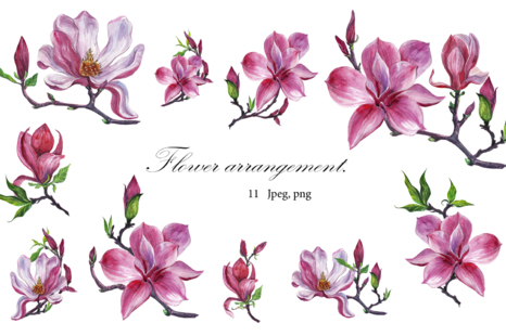 watercolor set Magnolia