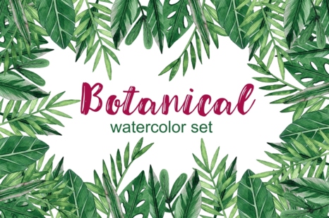 Botanical Watercolor Set