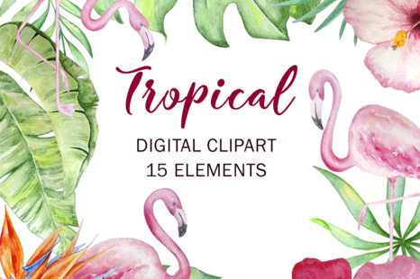 Tropical Watercolor Set Clipart