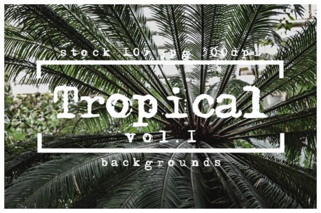 Tropical leaf backgounds real patterns digital paper