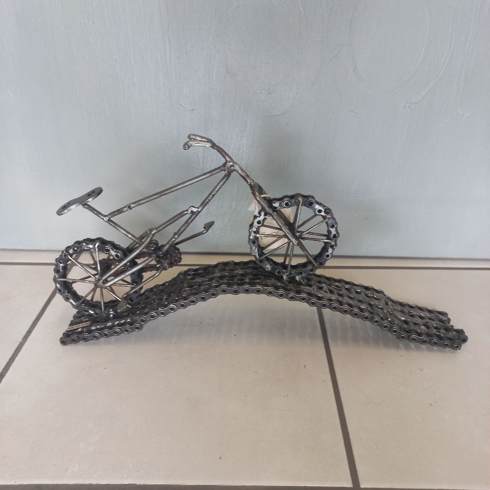 ZPtm Mountain bike - chain