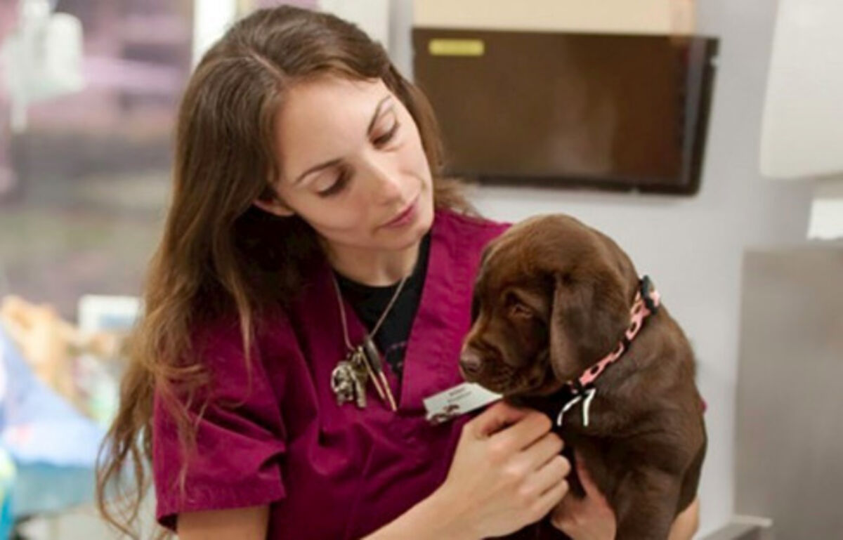 Beruf Tierpfleger/in EFZ Heimtiere – Ausbildung und Lehre