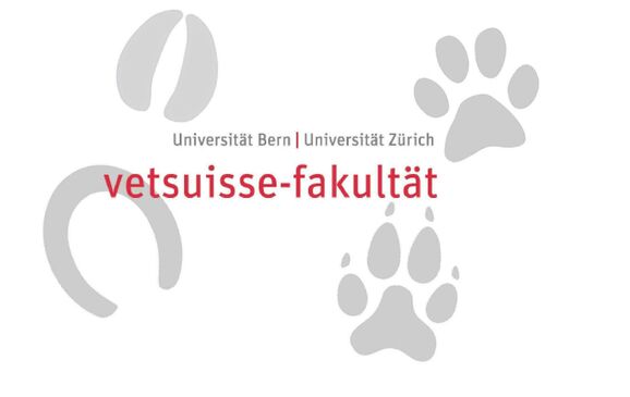 Departement für klinische Veterinärmedizin (DKV) logo