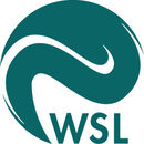 <span class="translation_missing" title="translation missing: de-CH.offer_searches.widget.yousty_result.organization_logo_alt_text, name: Eidg. Forschungsanstalt WSL, _brand_name: Yousty, _brand_domain: yousty.ch">Organization Logo Alt Text</span>