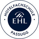 <span class="translation_missing" title="translation missing: it-CH.school_offers.search_region_result.organization_logo_alt_text, name: E, _brand_name: Yousty, _brand_domain: yousty.ch">Organization Logo Alt Text</span>