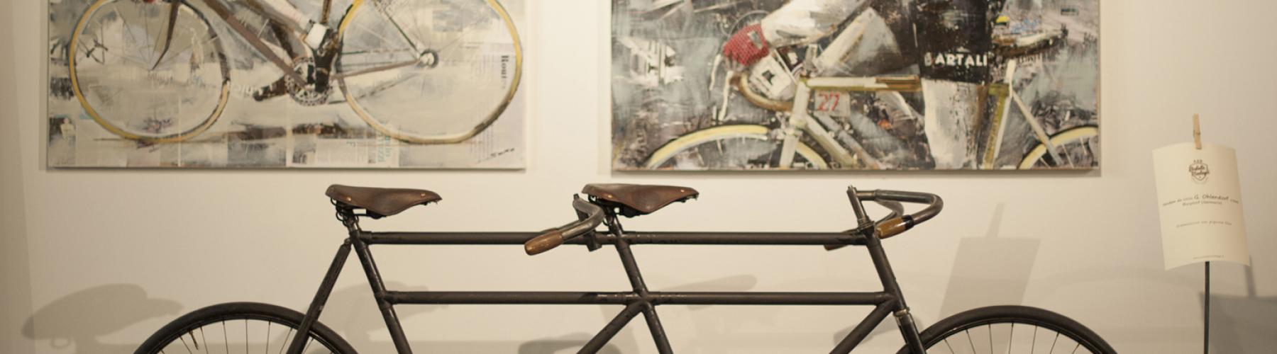 Copertina Il velocipede - Museo della bicicletta a Berzo Inferiore