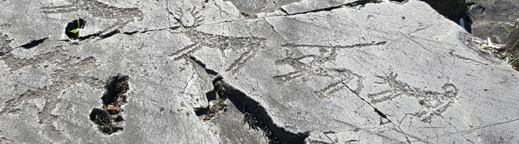 Sito Mondiale UNESCO Incisioni Rupestri di ValleCamonica www