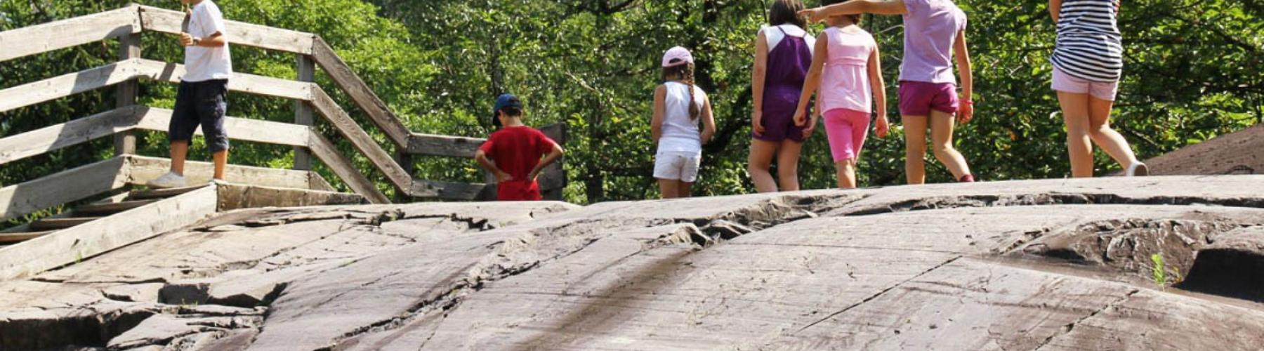 Copertina Parco Nazionale Incisioni Rupestri di Naquane Capo di Ponte