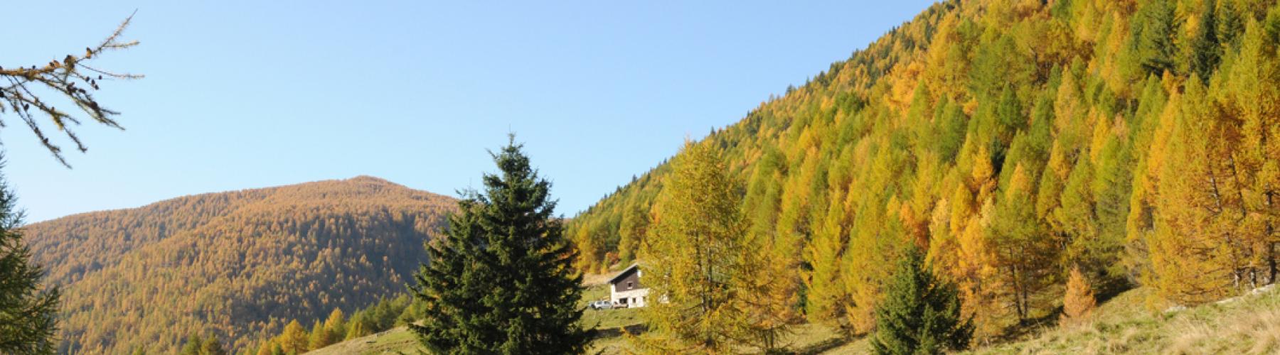 Copertina Val Grande nel Comune di Vezza d'Oglio