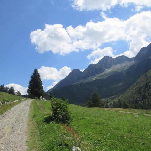 Logo Cammino dell'Antica Via Valeriana in Valle Camonica Attrazioni