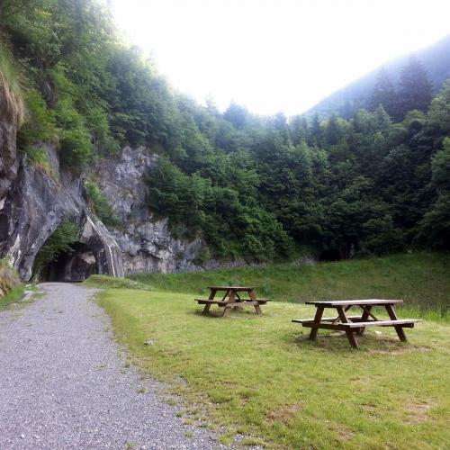 Logo Foresta di Val di Scalve nel Comune di Angolo Terme Attrazioni