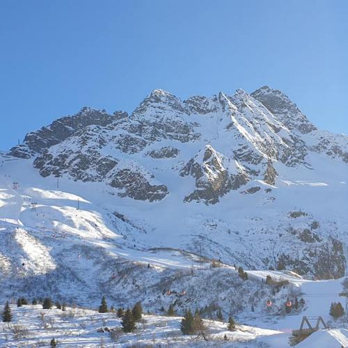 Logo Passo del Tonale Attrazioni