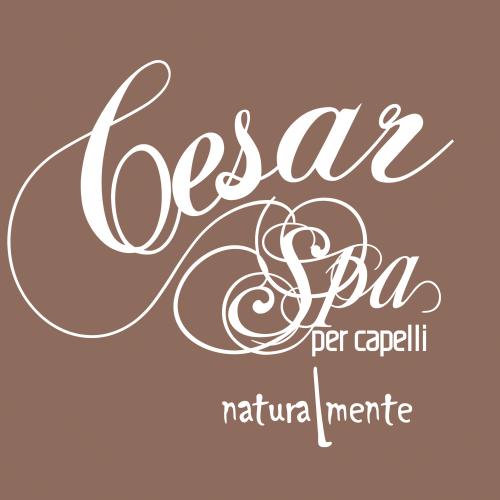 Logo CESAR spa per capelli Servizi