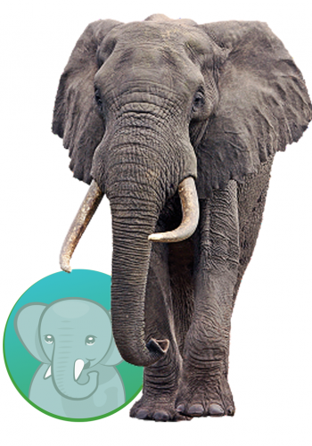 elephanttoken elephanttoken