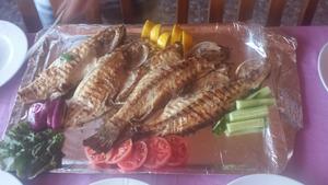 Azmak Restaurant Steg