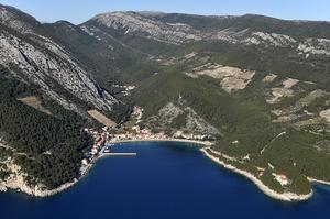 Trstenik