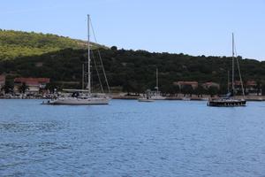 Vis luka