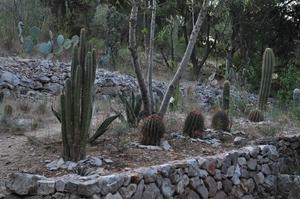 ACI Marina Palmižana