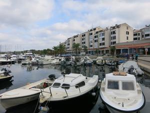 Marina Červar Porat